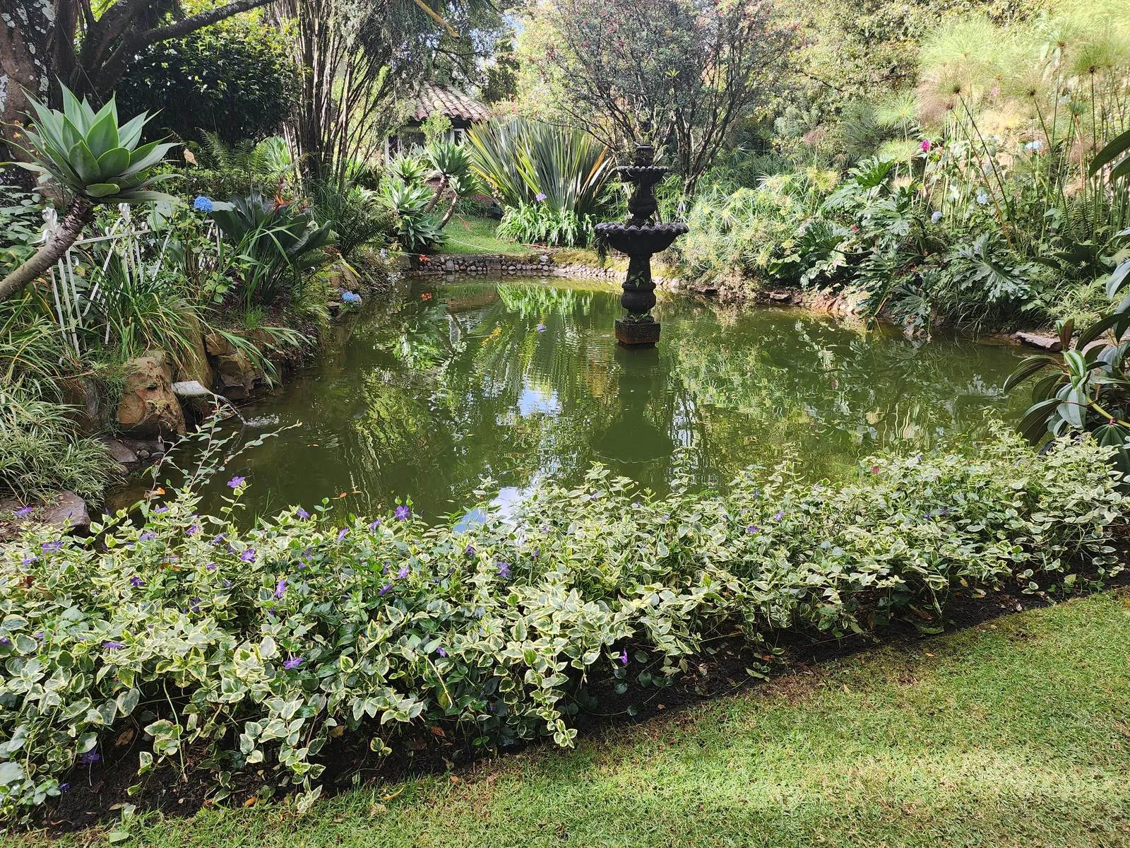Estanque con fuente