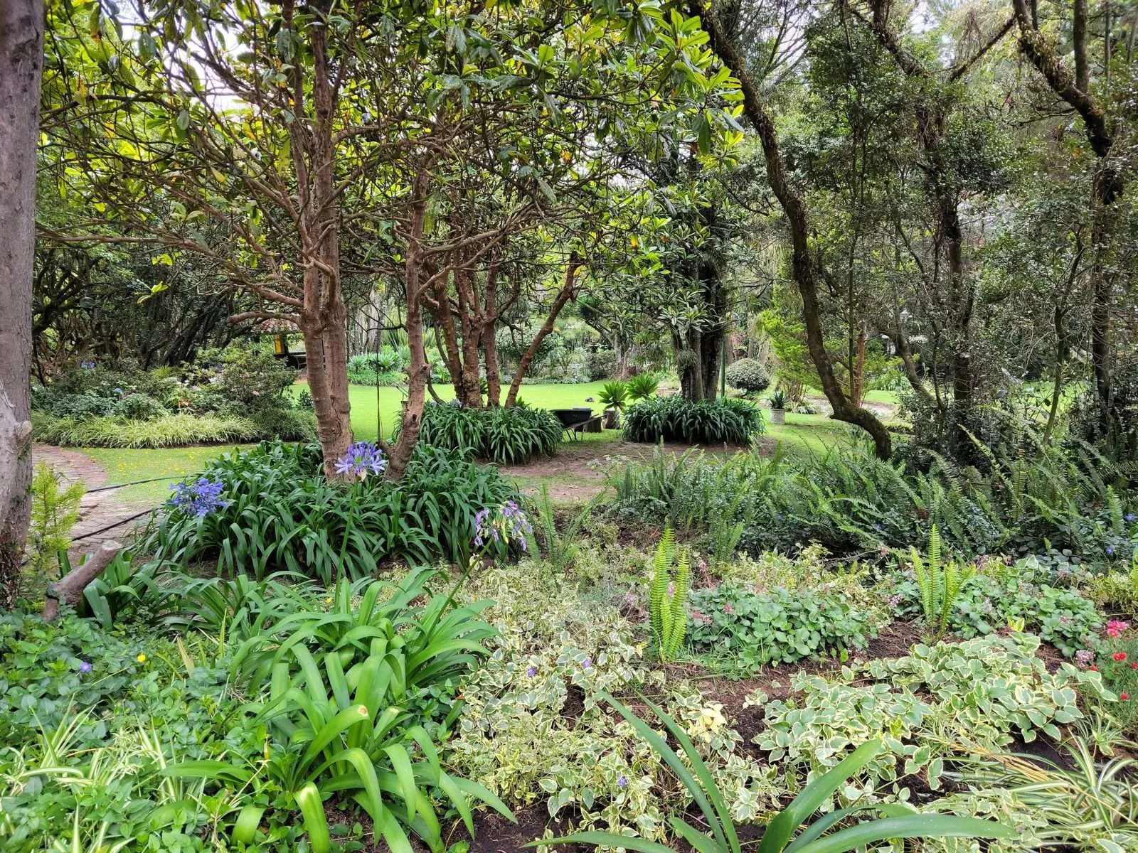 Jardines