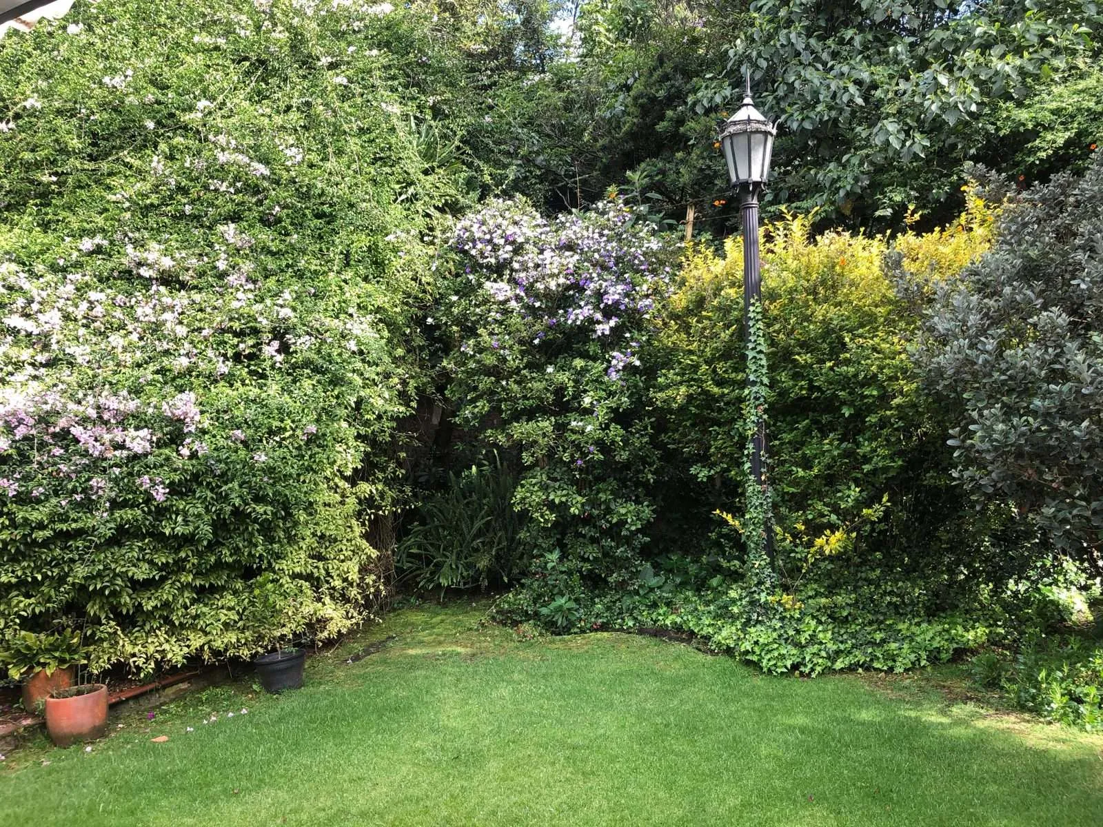 Rincones del jardín