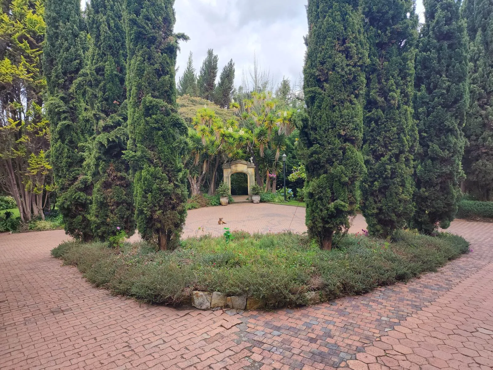 Plazoleta central